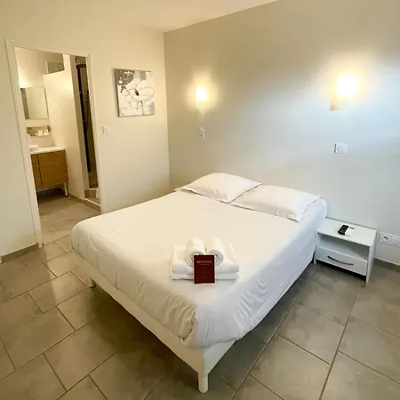 Nemo Aeroport De Pau 3* Sauvagnon