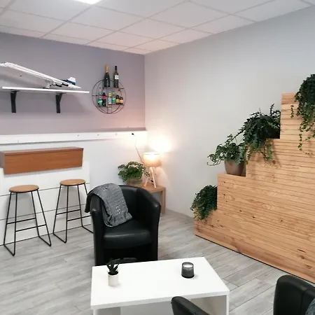 Nemo Aeroport De Pau Hotell