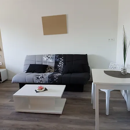 Nemo Aeroport De Pau Sauvagnon