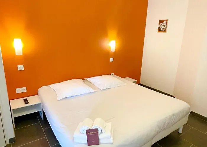 Nemo Aeroport De Pau מלון 3*