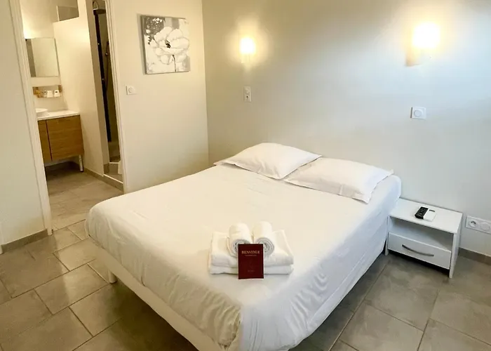 Nemo Aeroport De Pau 3* Sauvagnon