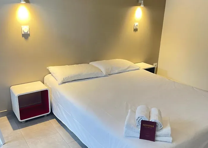 Nemo Aeroport De Pau 3*