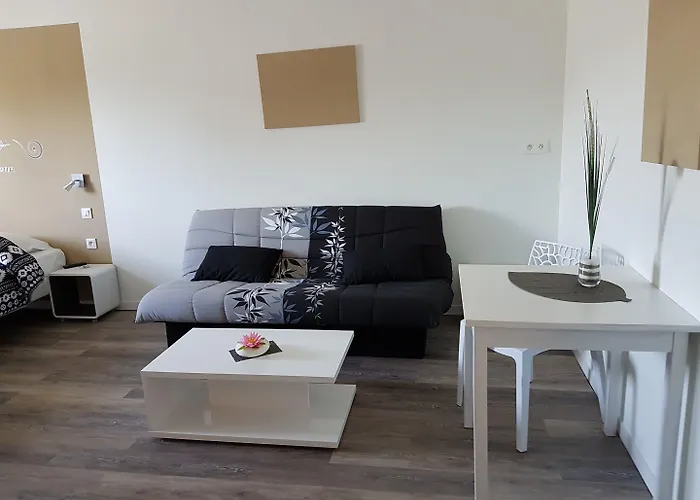 Nemo Aeroport De Pau Sauvagnon