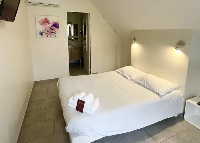 Nemo Aeroport De Pau Sauvagnon