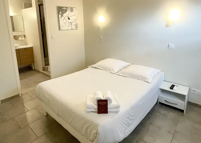 Hotel Nemo Aeroport De Pau Sauvagnon